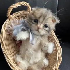 スノーベンガル子猫♡バニラちゃん♡アートドール♡ぬいぐるみ