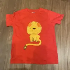 NEXT ライオンデザイン Tシャツ 赤