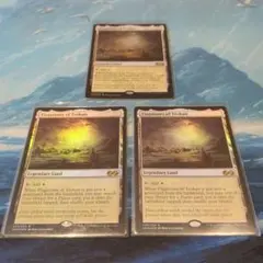 MTG 不毛の大地 英語 初版 2枚 不毛の大地 英語 Wasteland 2枚セット mtg - メルカリ