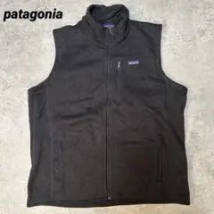 2025年最新】パタゴニア ベターセーター ベストの人気アイテム