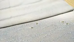 ＜は88＞☆3枚777円☆　着物ハギレ　反物幅×約160cm　和柄