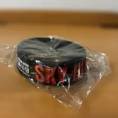 【未開封】 SKY-HI　BOSSDOM　特典　ラバーバンド