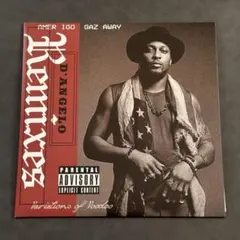 D'Angelo - Variations Voodoo【アナログレコード】新品