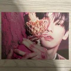 TXT スビン ポストカード