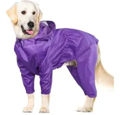 Item thumbnail for item 7c847188-2e8f-4d2f-964e-b0c216a7f328