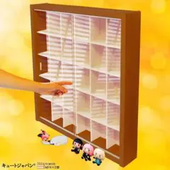 マホガニ色全塗装 陶器 コレクションケース 24マス アクリル障子付