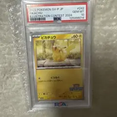 2024 ピカチュウ PSA10 イラストコンテスト