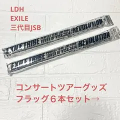 LDH EXILE 三代目JSB ツアー フラッグ ６本セット