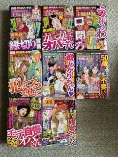 レディースコミック レディコミ20冊 - メルカリ