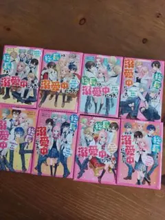 総長さま、溺愛中につき。 １～８巻