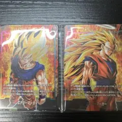 エナジーマーカー　20枚セット　進化の境地&気の躍動