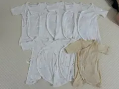 Item thumbnail for item a0f0d591-8737-4a6f-a16b-6cfd95fc464d