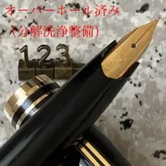 298 オーバーホール済み 万年筆 PLATINUM レア ロング 18k - メルカリ