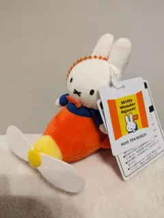 Item thumbnail for item 345261a3-c994-4d76-9723-2f08771e0e2d