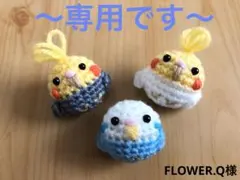 《専用》鳥さんのあみぐるみ　ハルクイン　ストラップ（Aセット）