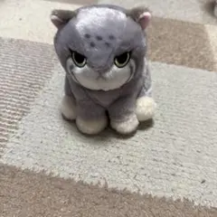 きまぐれマヌルネコちゃん　ぬいぐるみのサムネイル
