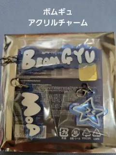 TXT ACT TOMORROW アクリルチャーム ボムギュ