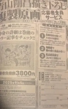 少年サンデー45 名探偵コナン　劇場版　隻眼の残像　複製原画　応募用紙