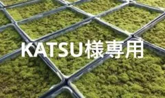 KATSU様 専用 スナゴケ 25枚 25トレー すな苔 - メルカリ
