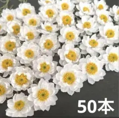 まっちゅ様 リクエスト 2点 まとめ商品