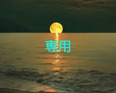 ぽよ様専用 ドテラミネラルオリジナル2本