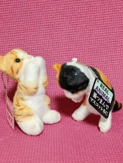 2025年最新】リアルアニマル猫つまんでマスコットBCの人気アイテム