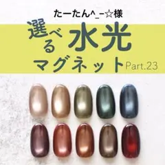 マグネット ネイルチップ