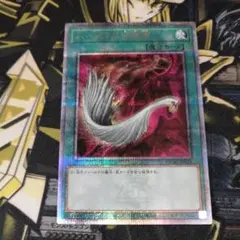 2025年最新】ハーピィの羽根帚 25thの人気アイテム - メルカリ