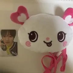 nctwish サクヤ ポシェット ポーチ wish祭 ペンミ パンヤ - メルカリ