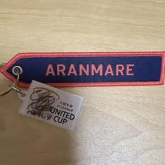 希少 アランマーレ山形　フェイスタオル　 オレンジ 半袖 ベースボールシャツ 希少 アランマーレ山形 フェイスタオル オレンジ 半袖 ベース