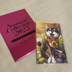 にじさんじ 黒井しば ノスタルジアコレクション2025 カード