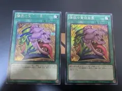 遊戯王 TDIL 強欲で貪欲な壺 シークレット スーパー 2枚セット - メルカリ
