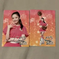 福岡ソフトバンクホークス ハニーズ CO カード