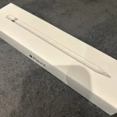 Apple Pencil カバー付き