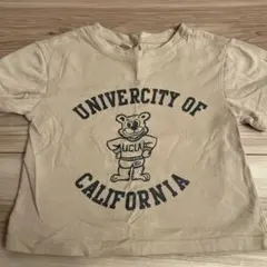 Tシャツ ベージュ