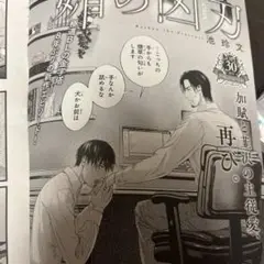 切り抜き　ビーボーイゴールド　媚の凶刃