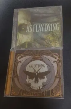 2026年最新】as i lay dying Awakenedの人気アイテム - メルカリ