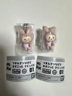 2026年最新】jjongtoramの人気アイテム - メルカリ