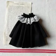 ネオブライス お人形遊び