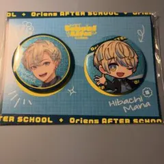 緋八マナ Enjoy School Life 缶バッジセット - メルカリ