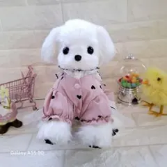 6.ぬいぐるみ、テディマルチーズ、犬、ハンドメイド、オリジナル、特大、 2.ぬいぐるみ、テディマルチーズ、犬、ハンドメイド、オリジナル、特大