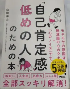 自己肯定感低めの人のための本