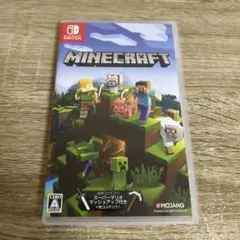マイクラフト　任天堂Switch