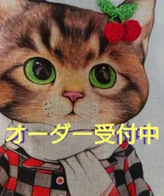 コヤンイサムチョン 　オーダー受付　スタート！