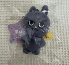 2026年最新】RIIZE ウォンビン キーホルダーの人気アイテム - メルカリ