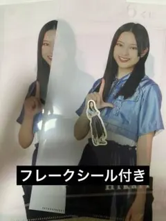 櫻坂46 ローソンくじ　クリアファイル2枚&フレークシールセット　遠藤光莉