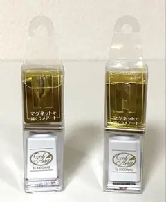 【美品】ジェルアング バイ リコアング マグネットカラージェル 2点セット
