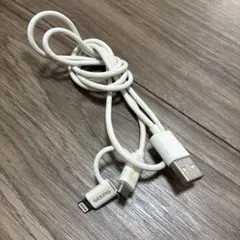 AXING 2in1 Lightning Micro USBケーブル