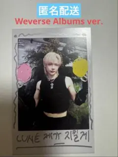 &TEAM NOCHOLAS Back to Life インスタントフォト