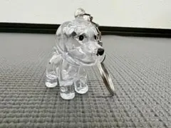 【 新品 】犬の毛収納 けだまだま ゴールデンレトリバーキーホルダー メモリアルのサムネイル